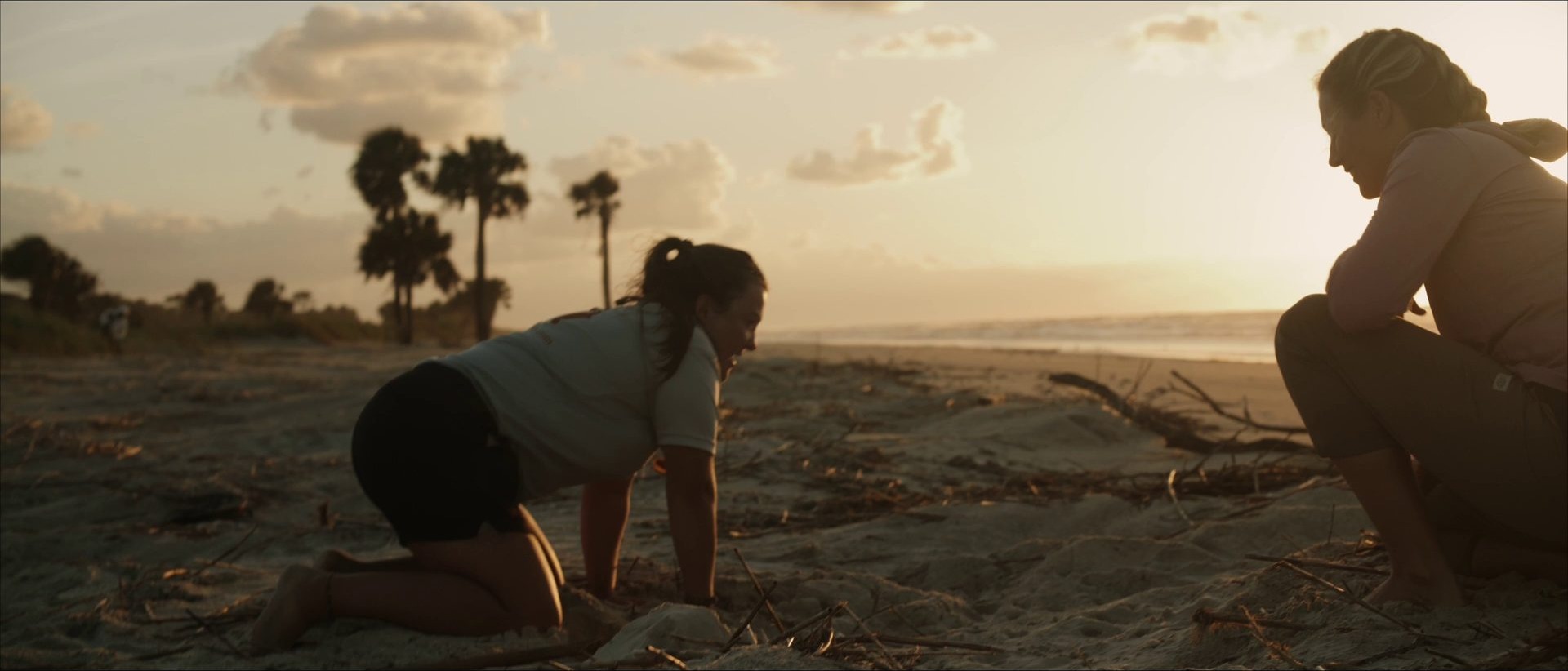 Biologist examining a sea turtle nest at sunset on the beach
