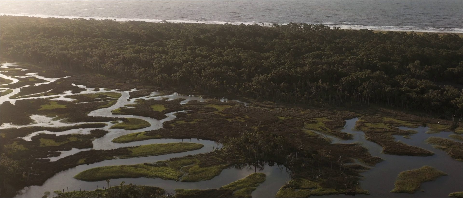 Aerial view of Ossabaw Island marsh and maritime forest at sunset